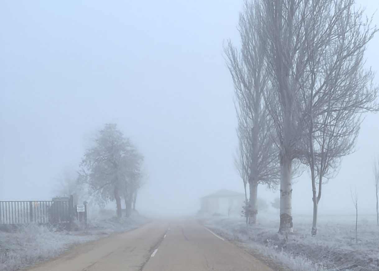 A foggy road approaching the town of Cisneros, Palencia, trees cloaked in white